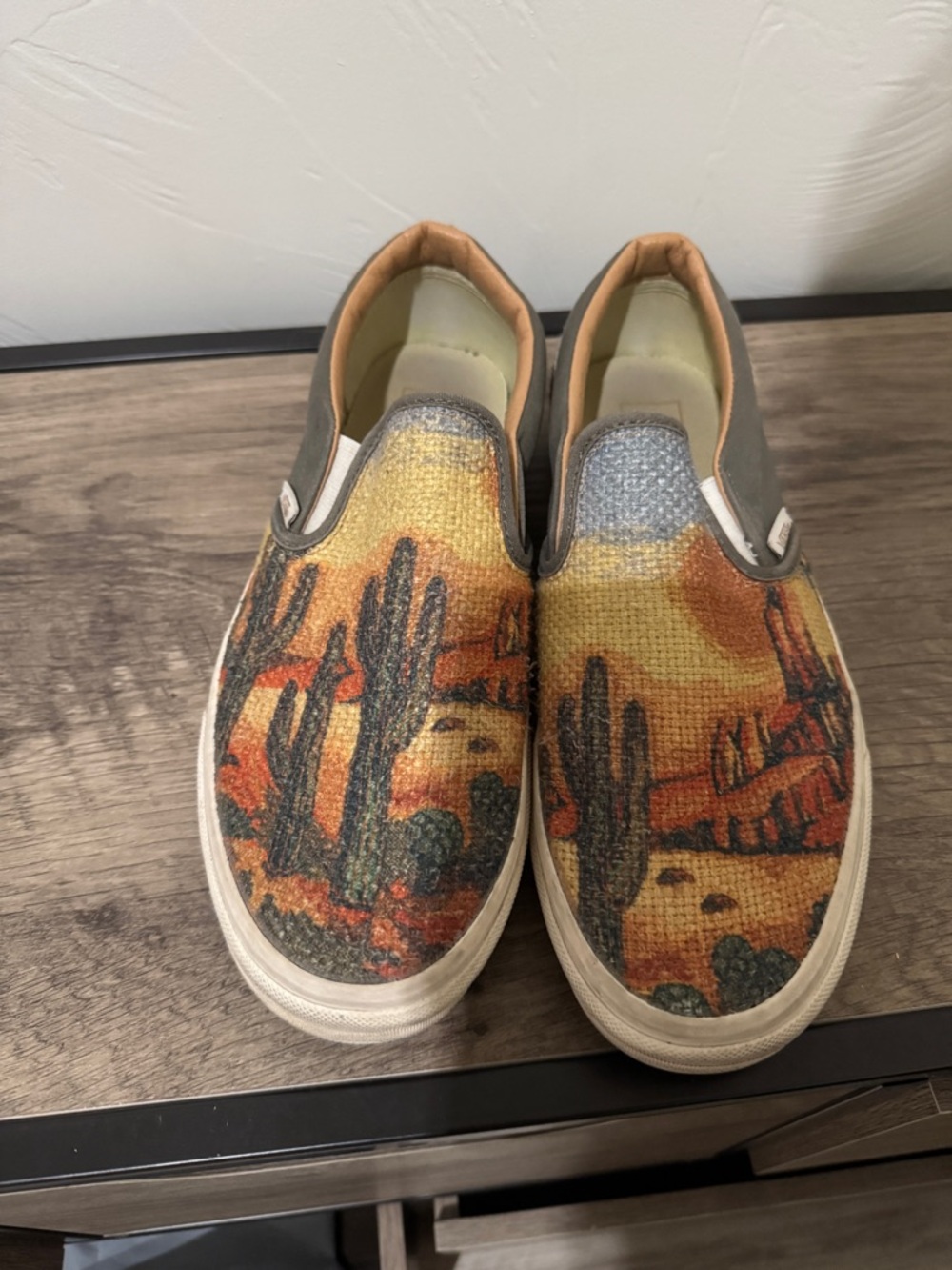 Vans Slip-On Canvas Shoes in Desert Sunset Print